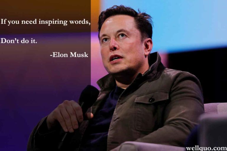 Quotes of Elon Musk for reaching your goals - Wellquo.com