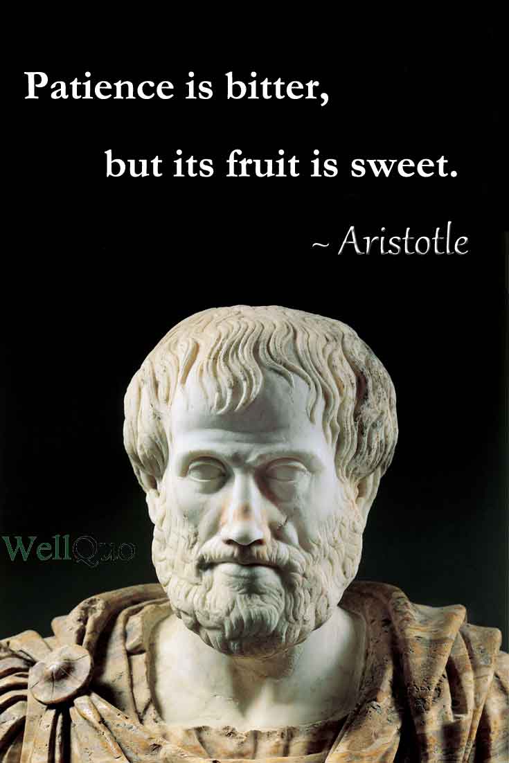 Patience Quotes - Patience is bitter, but its fruit is sweet.