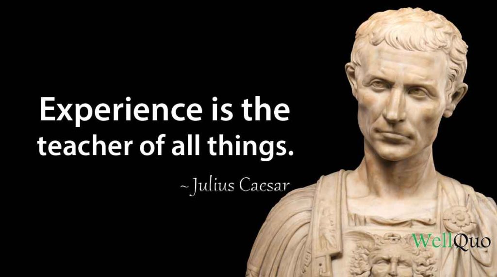 Julius Caesar Quotes - Well Quo