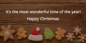Best Christmas Quotes and Sayings 2021 - Well Quo